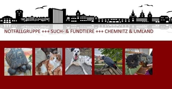 Facebook Gruppe Such- und Fundtiere Chemnitz